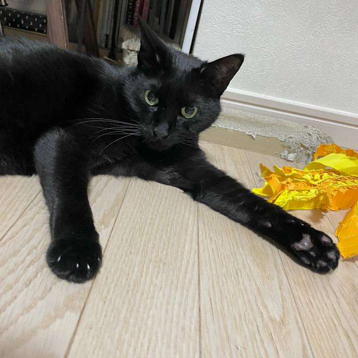 Df0ed7b7 9eb5 4a9e acfe ff841e6d2f77 1711724070665