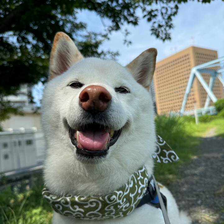 Df0ed80d 3a87 45de b763 b96faf1b47d8 1722040846047