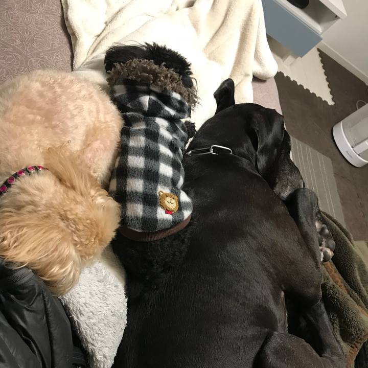 Df0f280a 45c6 4c38 b3f1 cff47fdb08b3 1512386872034