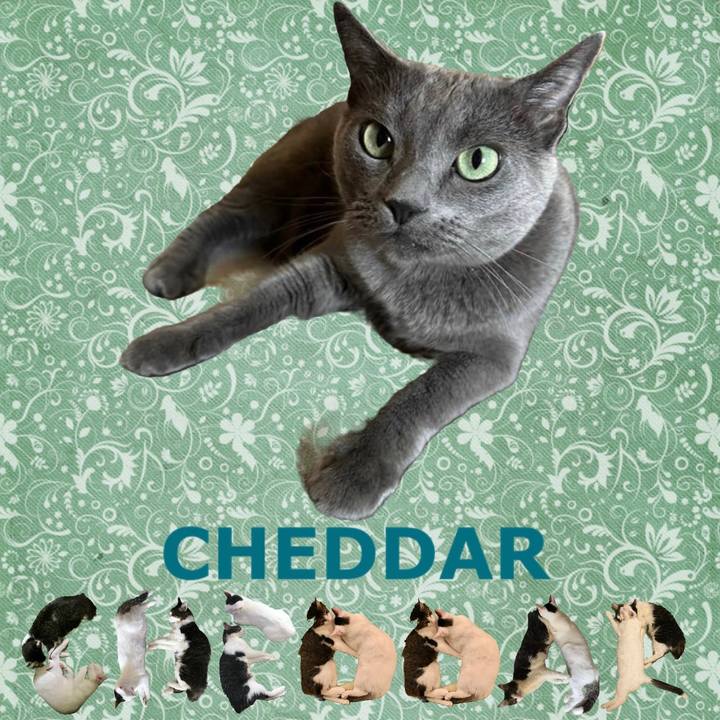 Df0f2fdd d4db 46bd 98b3 90284c7e2e3a 1667608341627