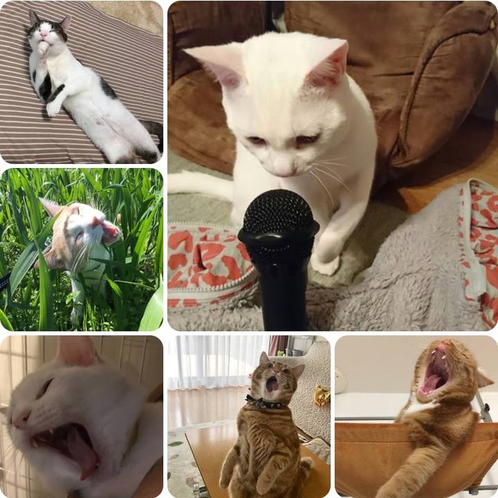 Df0f369a c68d 400d 81fd 31ceec1a3726 1526383638703