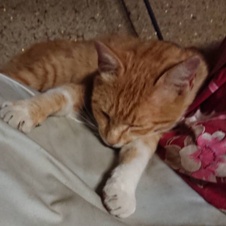 Df0f44e9 7fad 4879 97e8 e26fdcfefd95 1560515494834