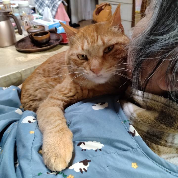 Df0f536d de8c 4432 87ec 155e6375b5f0 1747124541965