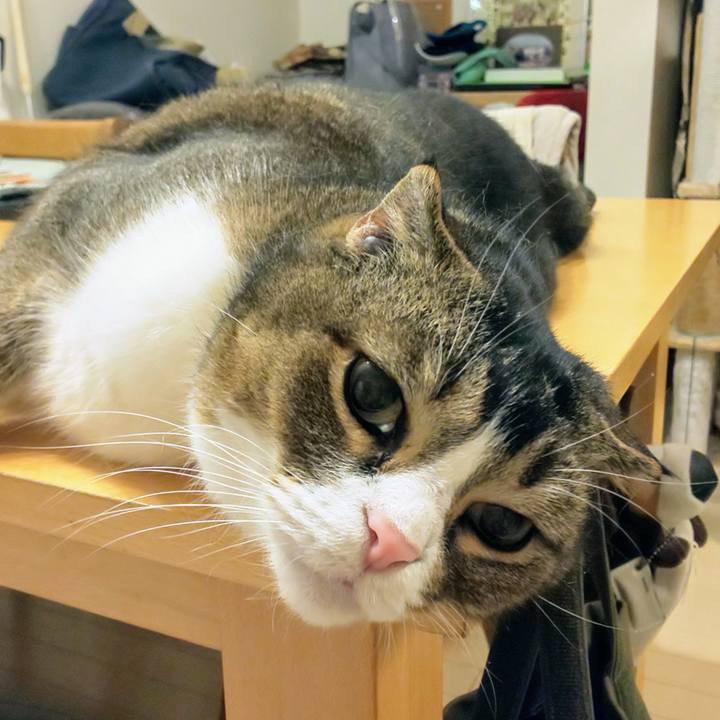 Df0fb1aa 3d09 429a 804e d744be43c60d 1745589824316