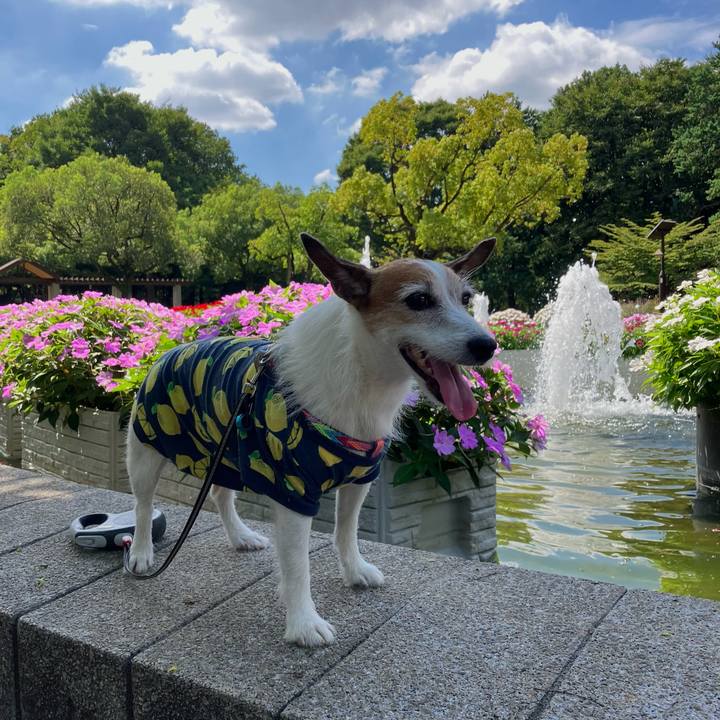 Df0fe487 13e9 4ddb a25c 7f5a39627350 1662858870923