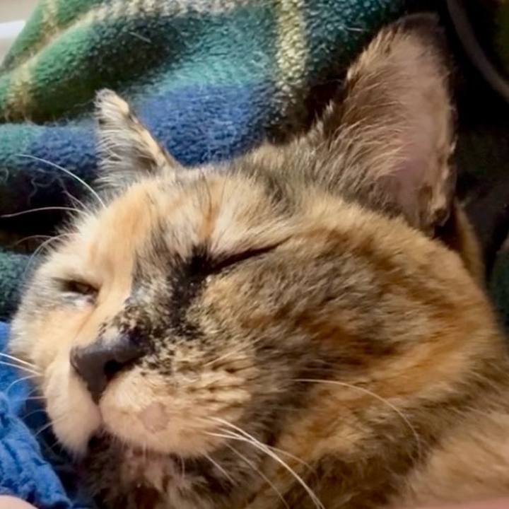 Df0ffd6e 626e 41d5 8286 cbbf9c5322d9 1772376712509