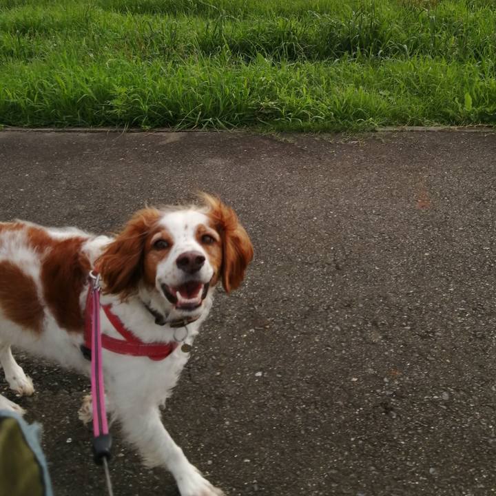 Df100cf8 4329 4b31 9e5f 646b6011db43 1629018019596