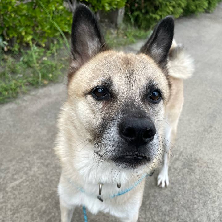 Df1047d8 9144 40e5 831d b8271205cf00 1727872537000