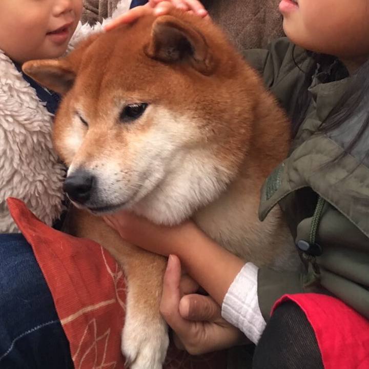 Df105589 962b 4411 be18 fe24416468a2 1578224947275