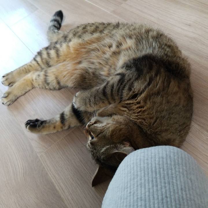 Df105ce4 1551 4645 aea8 f8c736bf5ef5 1588019080780