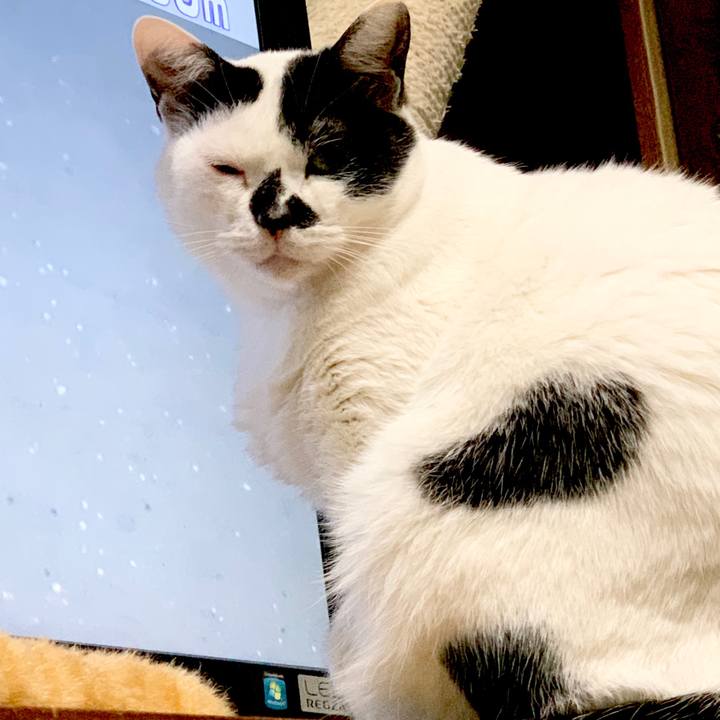 Df1061b2 44ef 45f6 8d70 b0e0ace9cf47 1585522994563