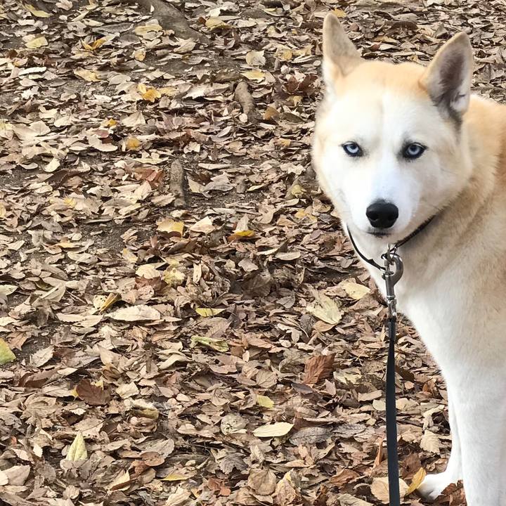 Df106eaf d27a 49f9 9a86 6811a634e9a9 1544485873137