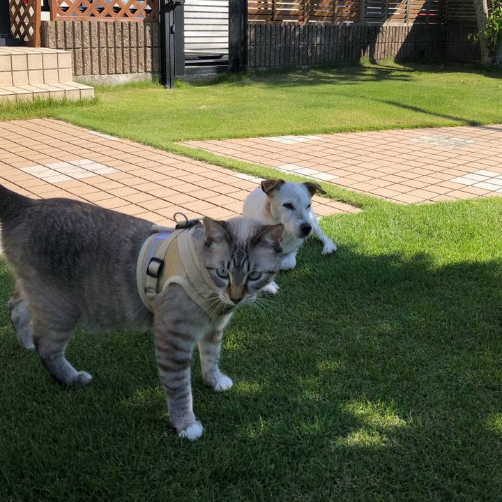 Df107ae2 8efa 49d4 826c 5d020b86f651 1633483130510