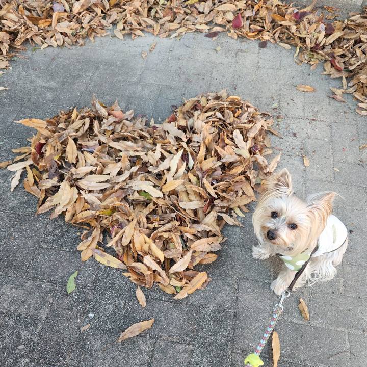 Df1085c0 40a2 4dd1 8eb7 653fa809fcf0 1701418646345