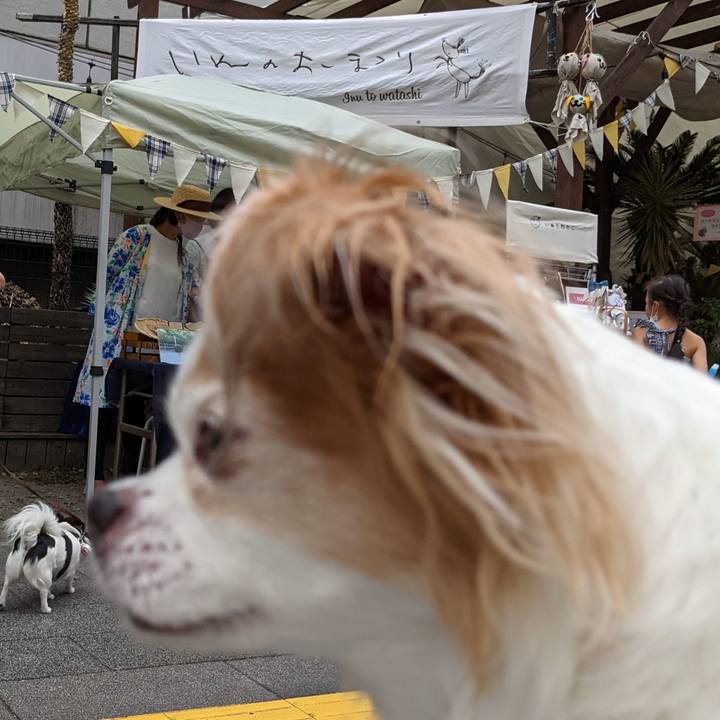 Df1105e5 21ff 4aea 809f 1d063f4c1268 1623557641061