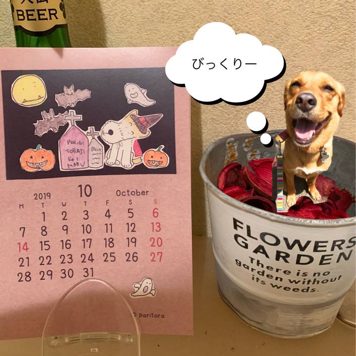 Df1118e8 694f 47ef 8daf dbe550acfb11 1571037441399