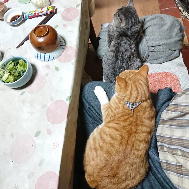 Df113045 dde0 4b37 8a42 e288bab1a1f8 1575455755557