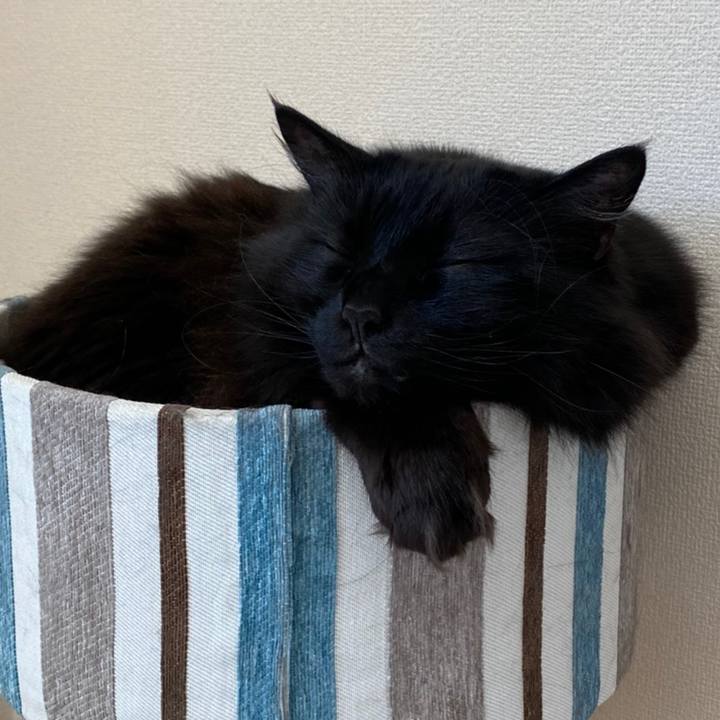 Df1165d8 fe55 46f6 872e 249392e227cc 1621342913669