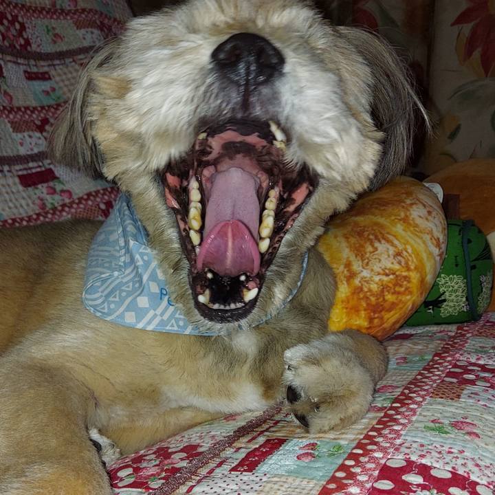 Df116d7a 2a5b 4a84 8e32 3c1bc91dea17 1624540354155