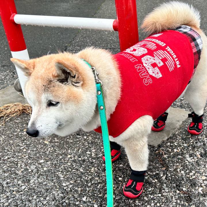 Df116edb 6caa 4282 9441 d2030afd4046 1741756188211