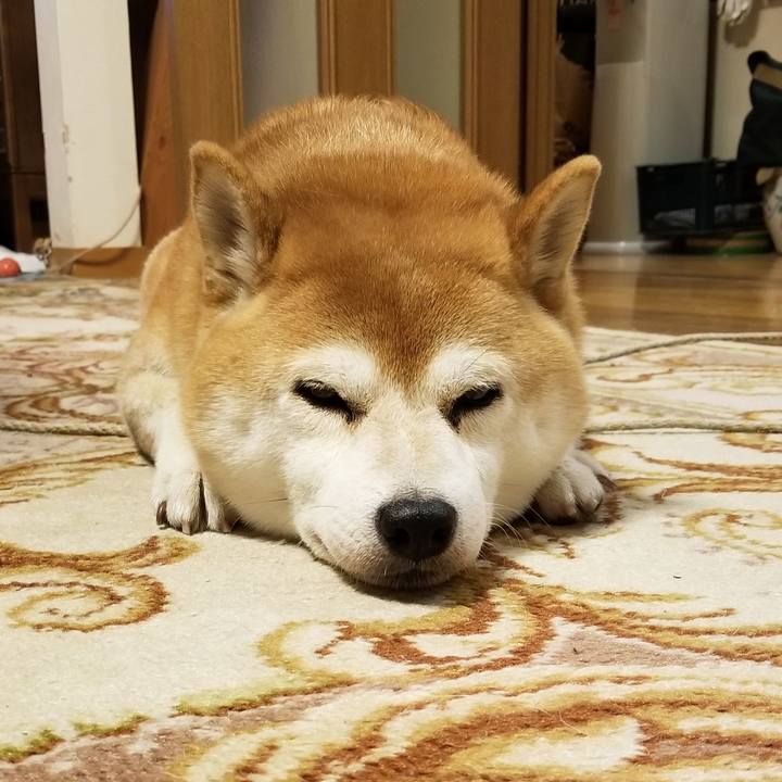 Df119d05 29cb 4f6e 8eba 1833548f65ab 1569751917442