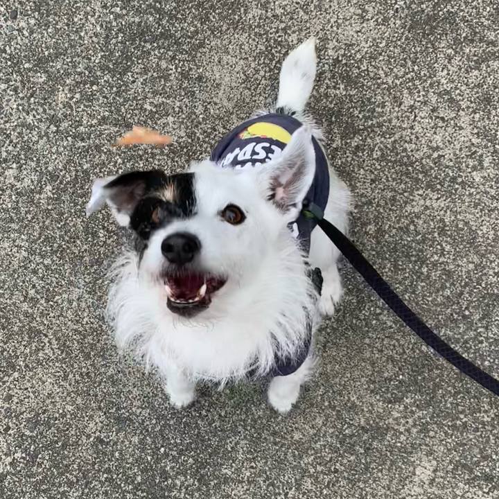 Df11b335 65ab 418f ba36 58d27feb699e 1715474595553