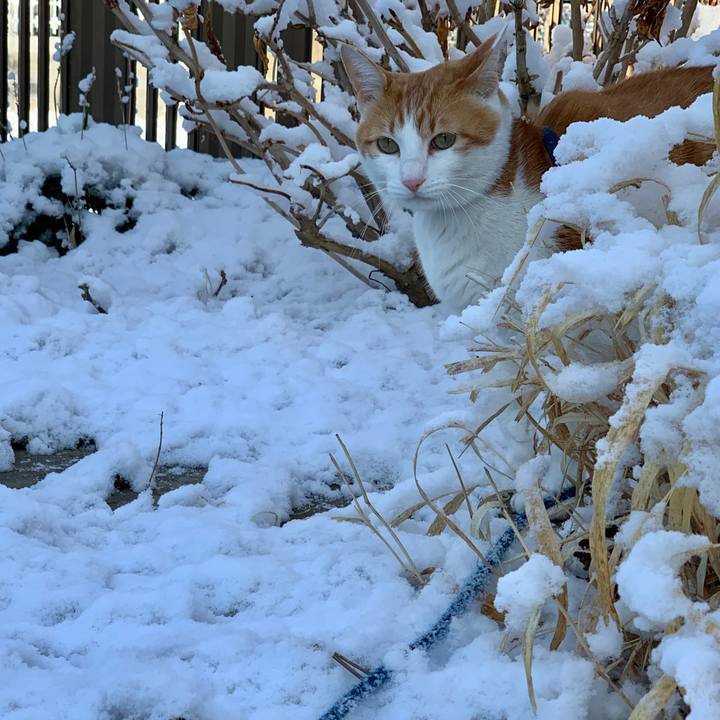 Df1225ad 15be 4a33 9cae 01043a61eb8d 1581390162310