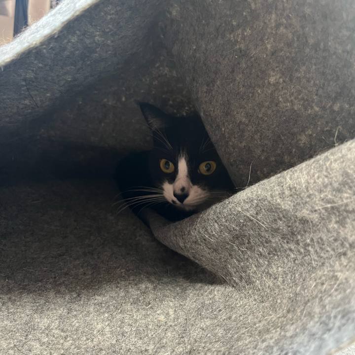 Df122b17 a2d2 4aa3 8793 d9f36fbe6732 1740199524995