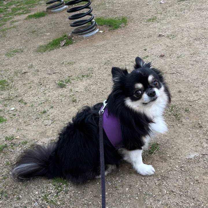 Df1242c7 eaf9 441d 9f0f 4e025bef9d09 1763365264774