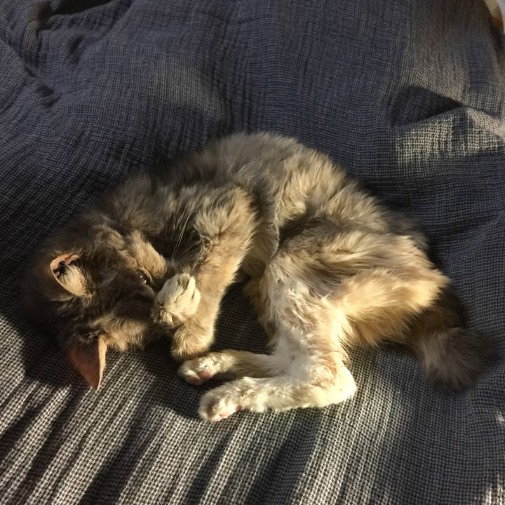 Df129b2f 5668 4992 ba35 ac393d4eb1b8 1578806278188