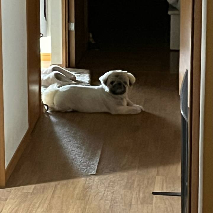 Df12a4d4 e730 4dc4 b195 1d8c1e3ff099 1744067052454