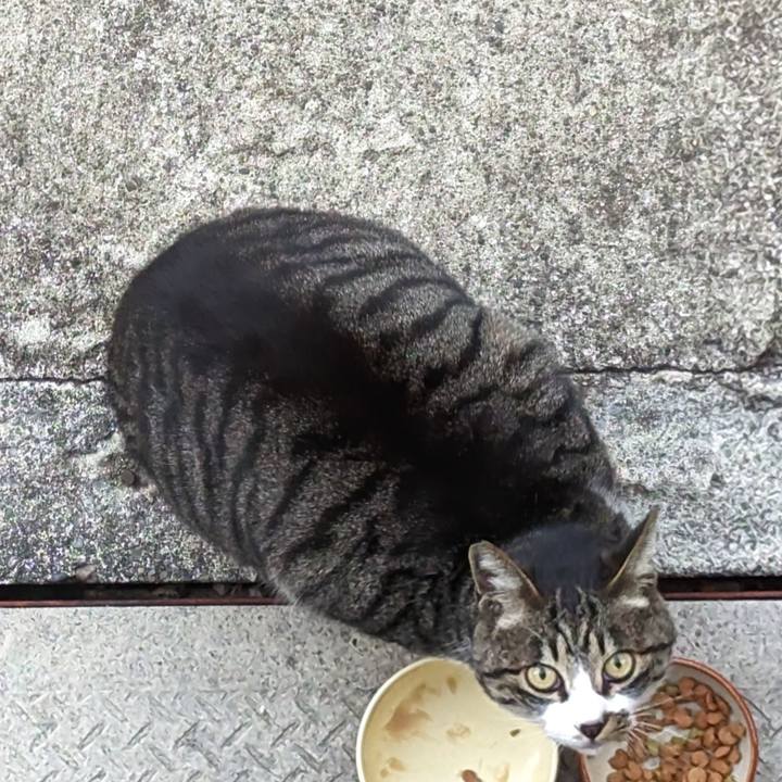 Df12cd2f b608 4dea 896d 2f6c36aa717d 1679448018258