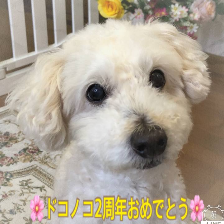 Df1320cf 654d 468e a1f5 16986a2e2021 1528174134294