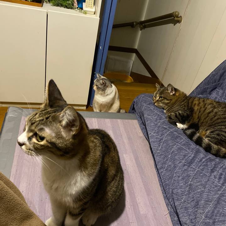 Df134aa9 1602 40b7 ac8a fb862b0a5618 1665413378526