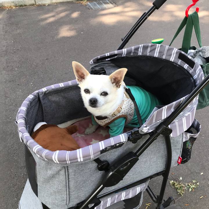 Df135a00 82d5 41af 82ce 504a99a43cec 1561725729794