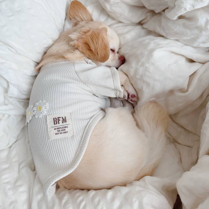 Df135b52 1082 464e b494 744527b59df5 1722317162979