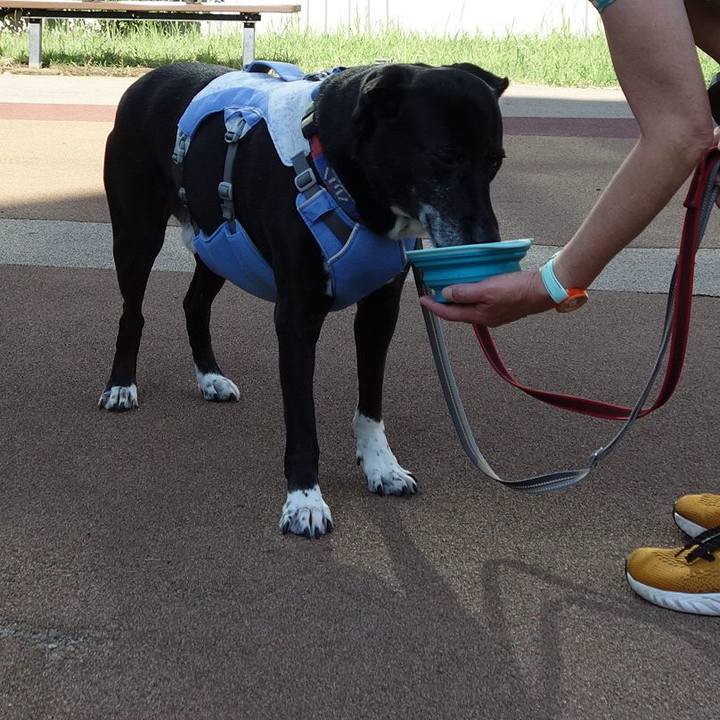 Df135c76 0620 4ff7 adb6 89c4b6457b78 1721434240885