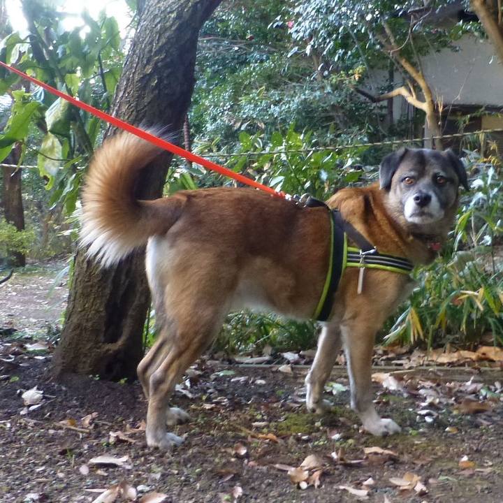 Df139467 2cfe 48b6 be56 d95f09fe1063 1581088551273