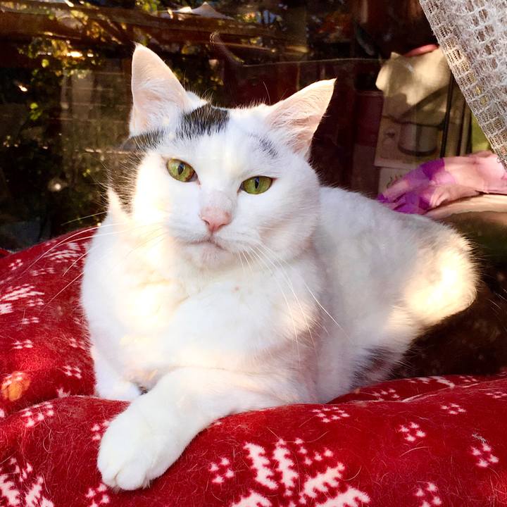 Df13b7a3 bd4f 4f78 a898 991ea79f66eb 1574229143039