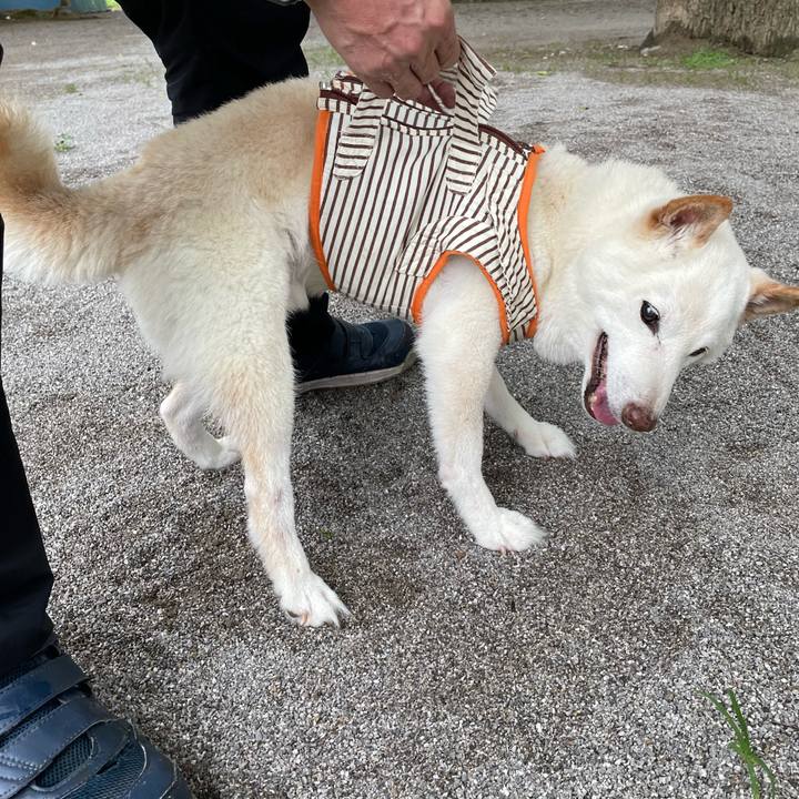 Df13c464 4f1b 4ec2 8670 05155692f54f 1657293194020