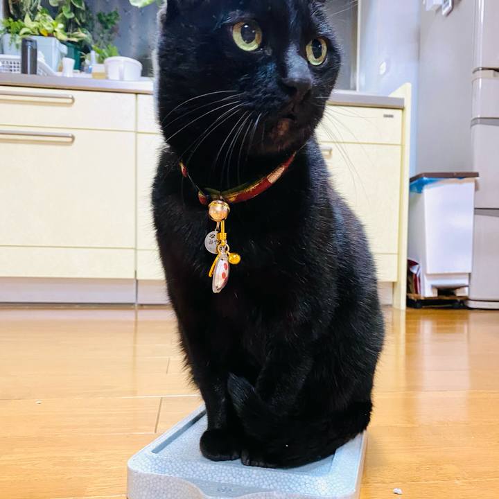 Df13d304 9029 4a54 853c 785e11a48a12 1704632431872