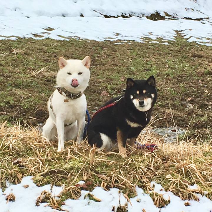 Df13d98f bb85 43c2 84bb 70ea092d7a2f 1519011117963