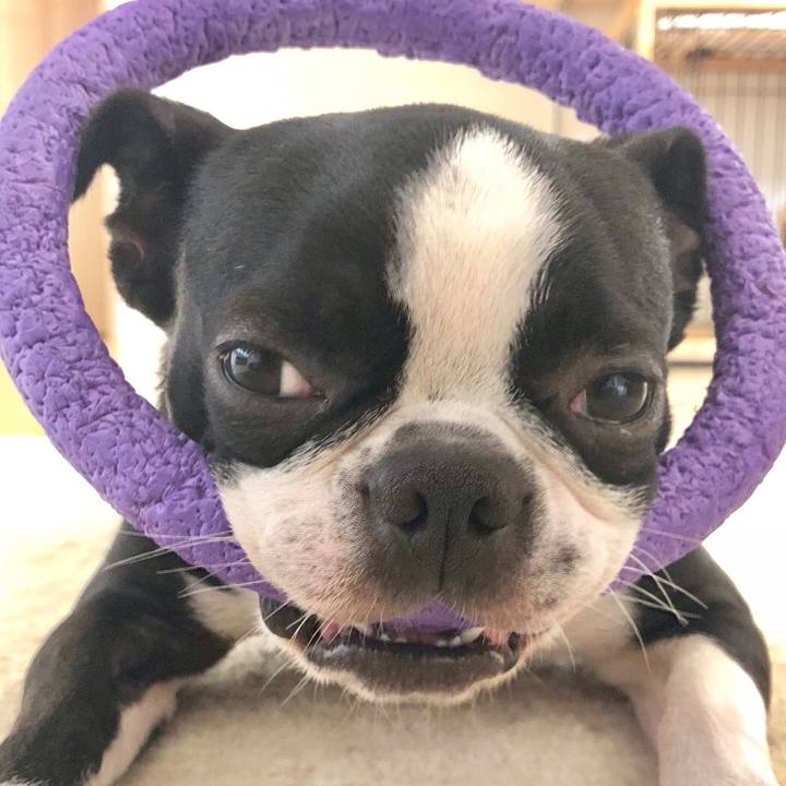 Df13dc42 7e9a 49b8 894b 1938e19bba54 1530668105433