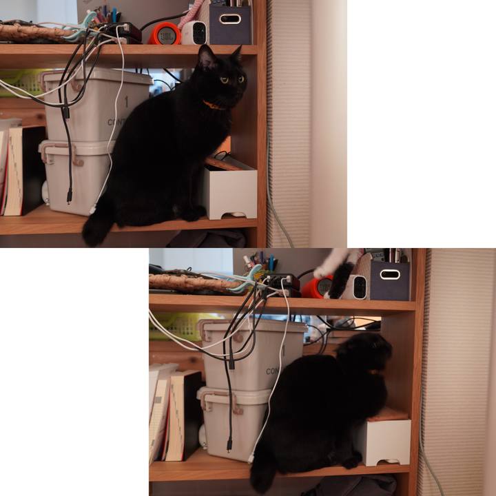 Df13e10a 7d1b 47c2 85a9 6991df224b7d 1597274739236