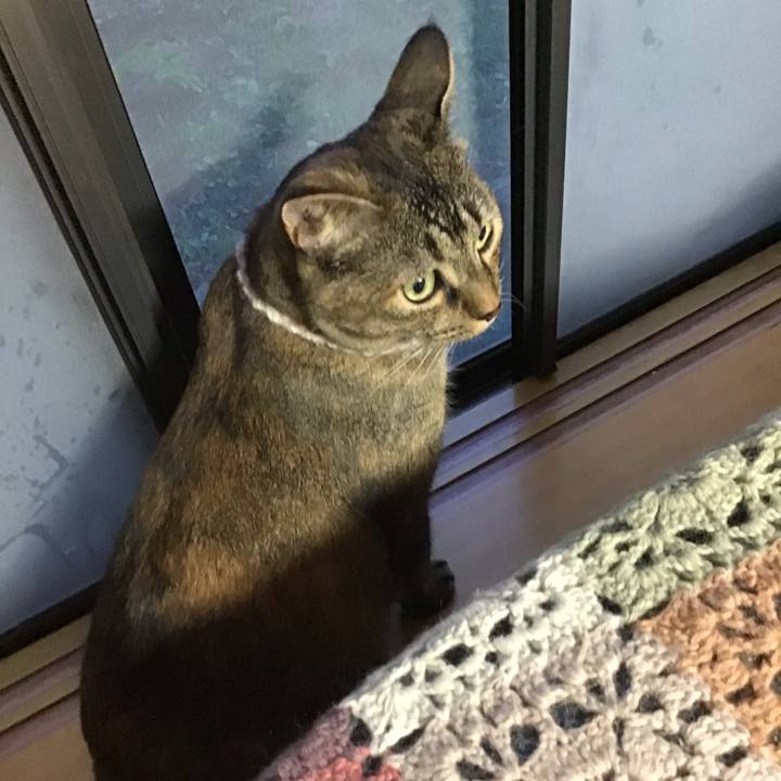 Df13e4a6 a041 4569 ab94 dda50b6f3e72 1662373841185