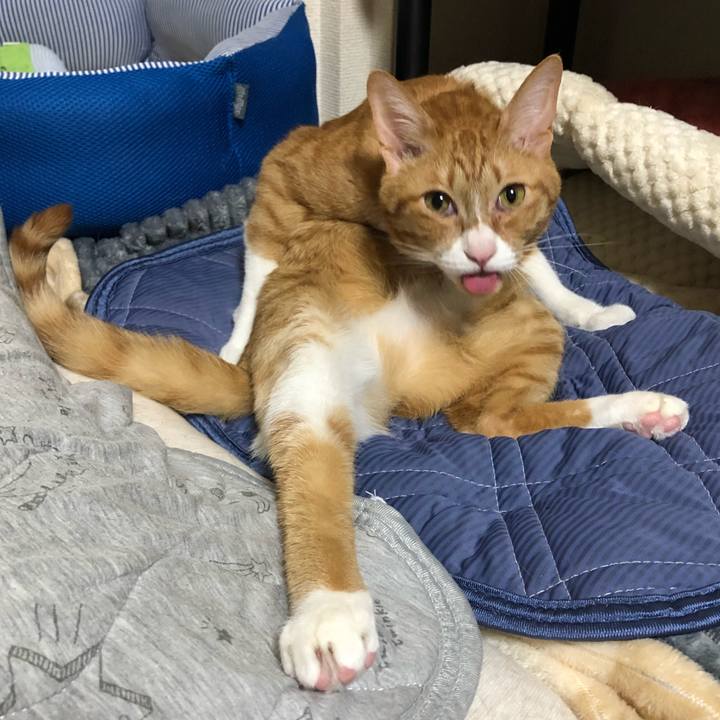 Df13f4a7 acec 4777 8aac 7fd945f6fbc7 1630030463948