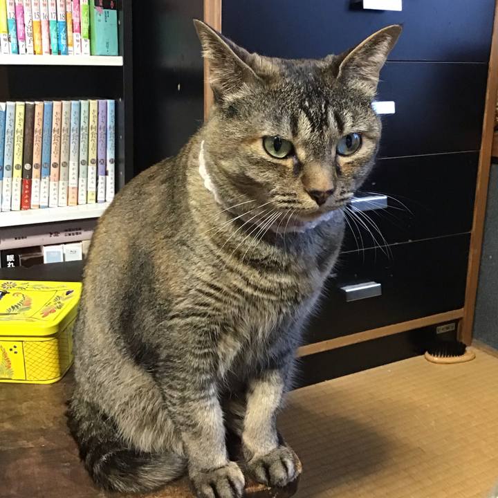 Df141191 6b4e 44f4 97ae 06ecd4888b38 1718529311136