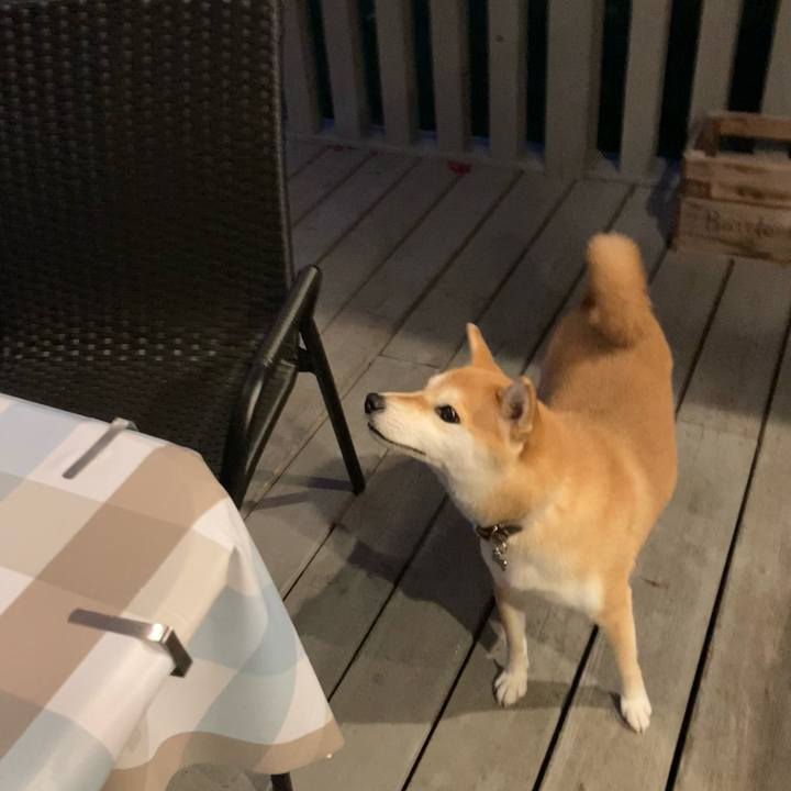 Df148b9a a82c 4d76 9981 e9551841ee44 1728348594467