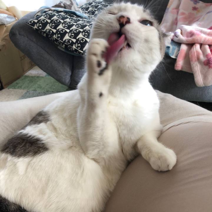 Df14b5c8 a4bf 4d4a b267 6735661665d3 1634707781667