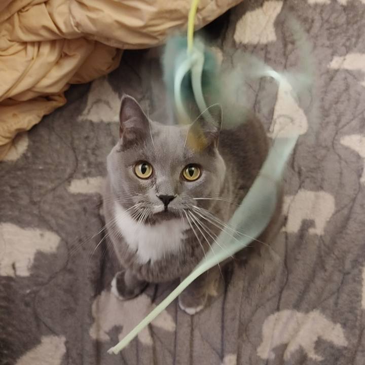 Df1529b1 a513 4ebb ac4e 432796a96e4a 1603598032316